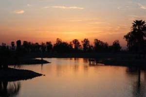 sunset.jpg